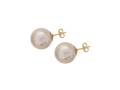 Aros Perla Redonda – Luz Natural