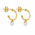 Aros Argolla Dorada con Perla